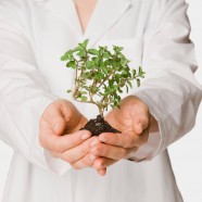 doctor_hands_plant-438157_186x186