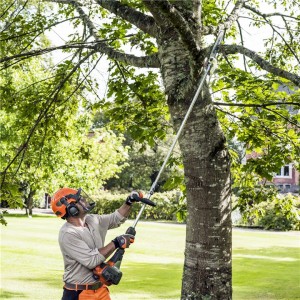Pole-saw-in-use